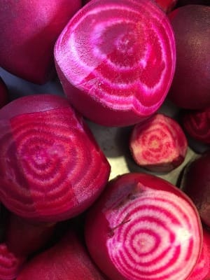 Gather and Sow: April 2026